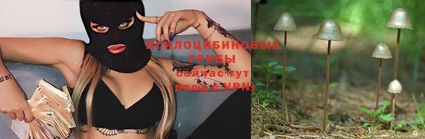 шишки Бугульма