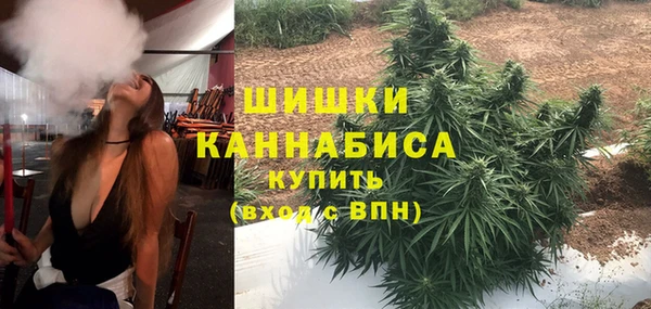 шишки Бугульма