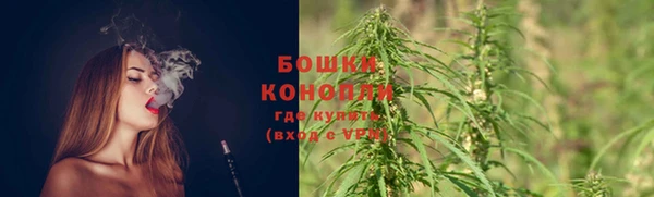 скорость Бородино