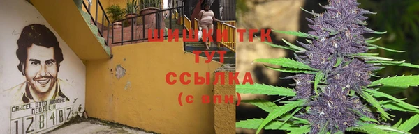 скорость Бородино