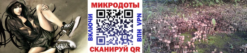Галлюциногенные грибы Psilocybine cubensis  blacksprut как зайти  Ярославль 